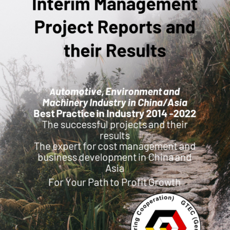 Interim Management Project Reports