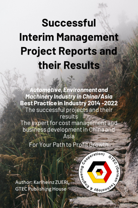 Interim Management Project Reports